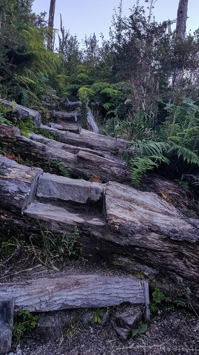 Le bois mort a été utilisé pour faire le sentier