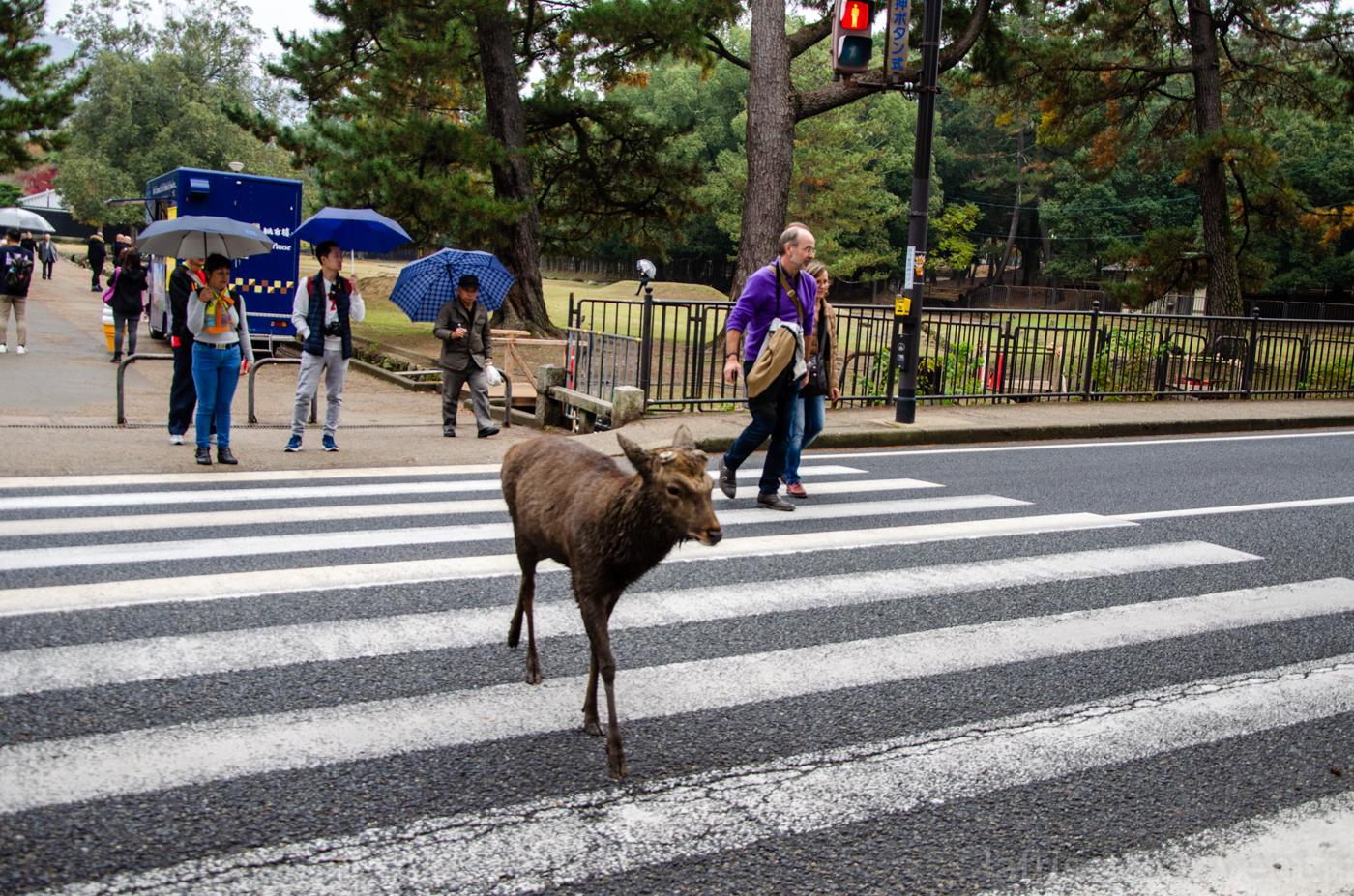 Quand on arrive en ville...